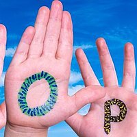 Active Hope